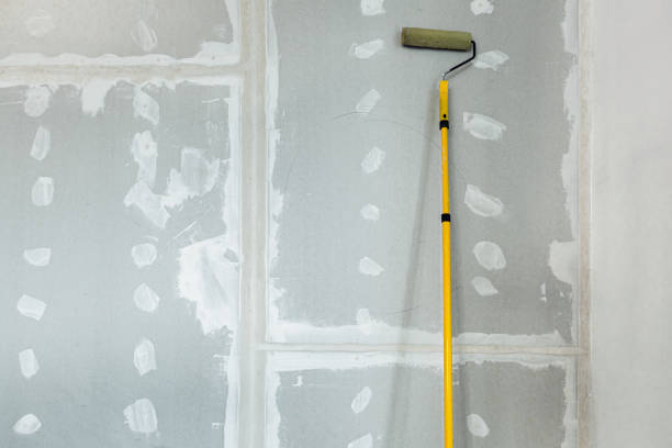 Professional Dry wall and painting in Spring Hill, FL